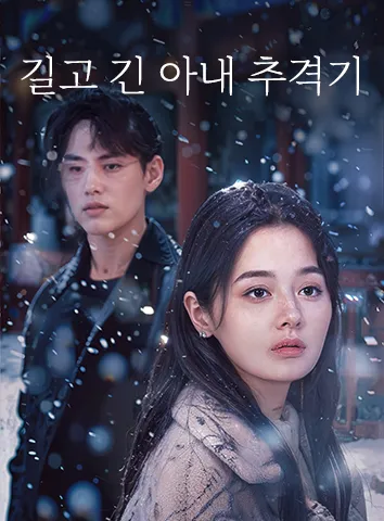 길고 긴 아내 추격기